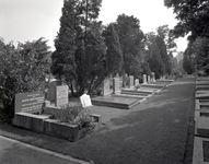 810450 Gezicht op enkele graven op de 3e Algemene Begraafplaats Tolsteeg (Opaalweg) te Utrecht.